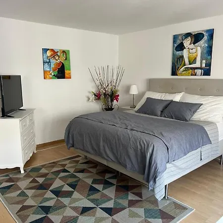 Appartement Schweiz à Bâle Extérieur photo