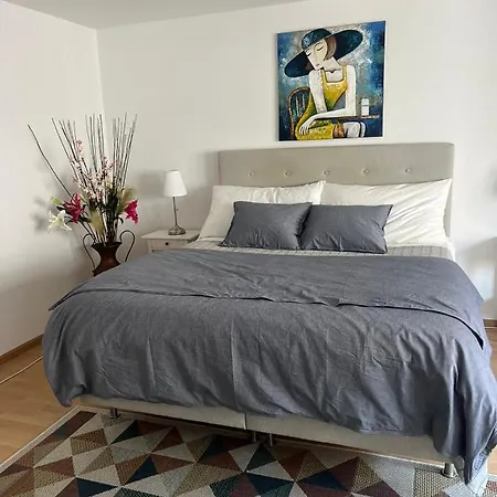 Appartement Schweiz à Bâle Extérieur photo